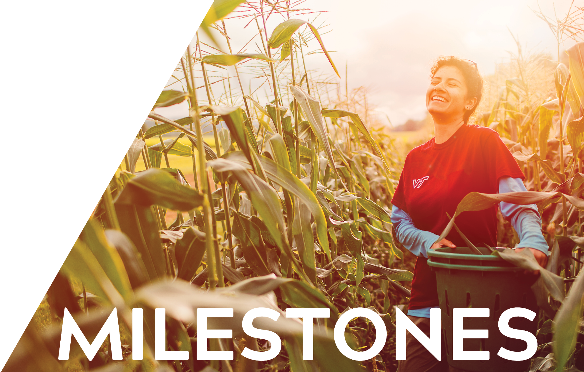 Image of a girl smiling in a cornfield holding a planter